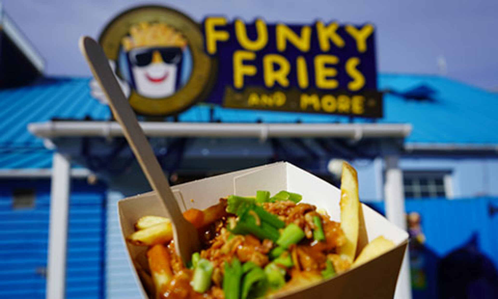 Katsu Fries from Funky Fries