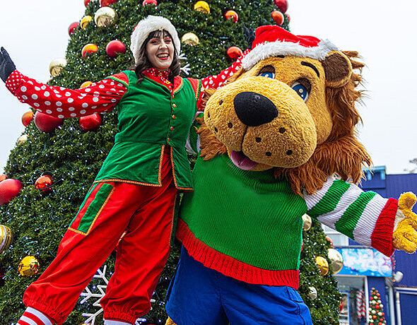 Rory's Christmas Party Show
