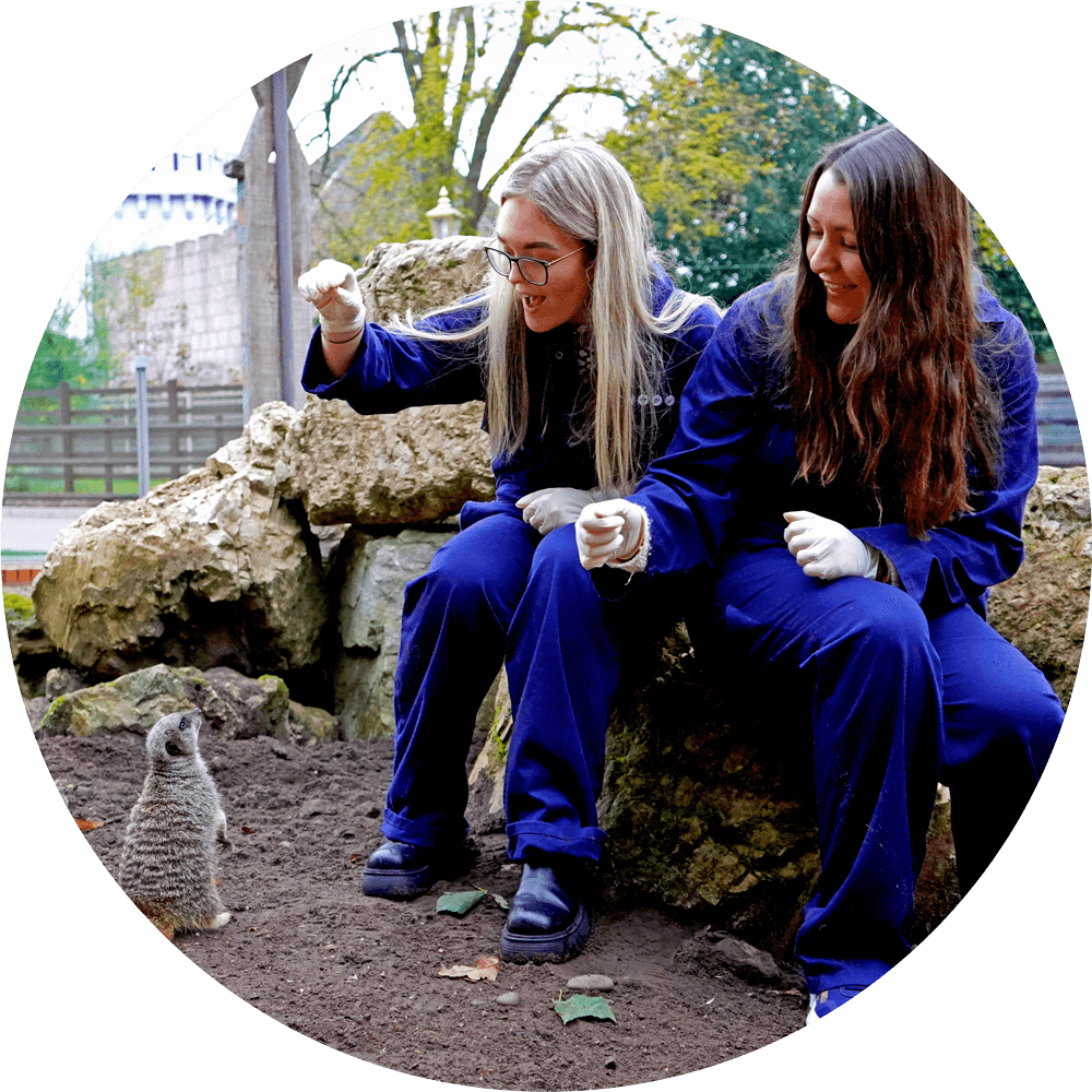 Drayton Manor Tickets Passes Annual Pass