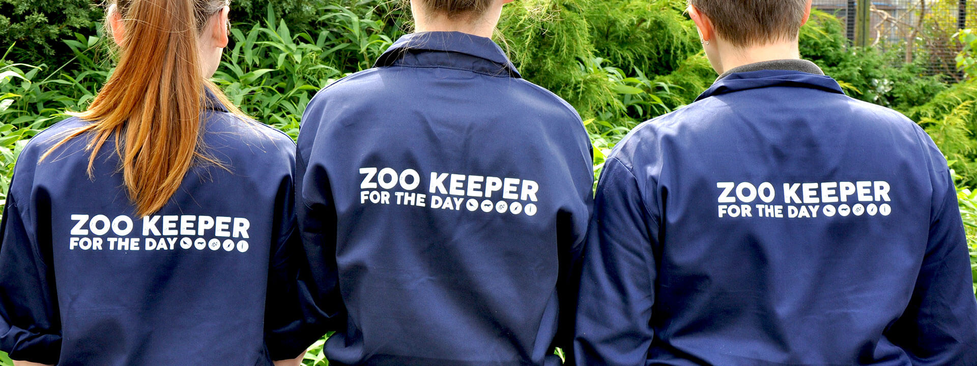Zookeeper for the Day