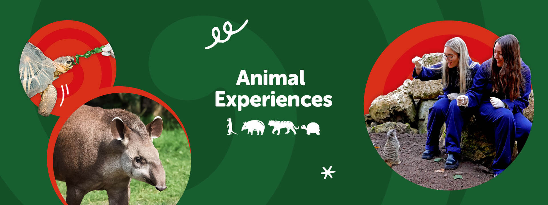 Animal Experiences